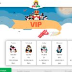 VIP program