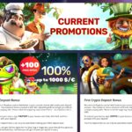 Playamo casino bonuses